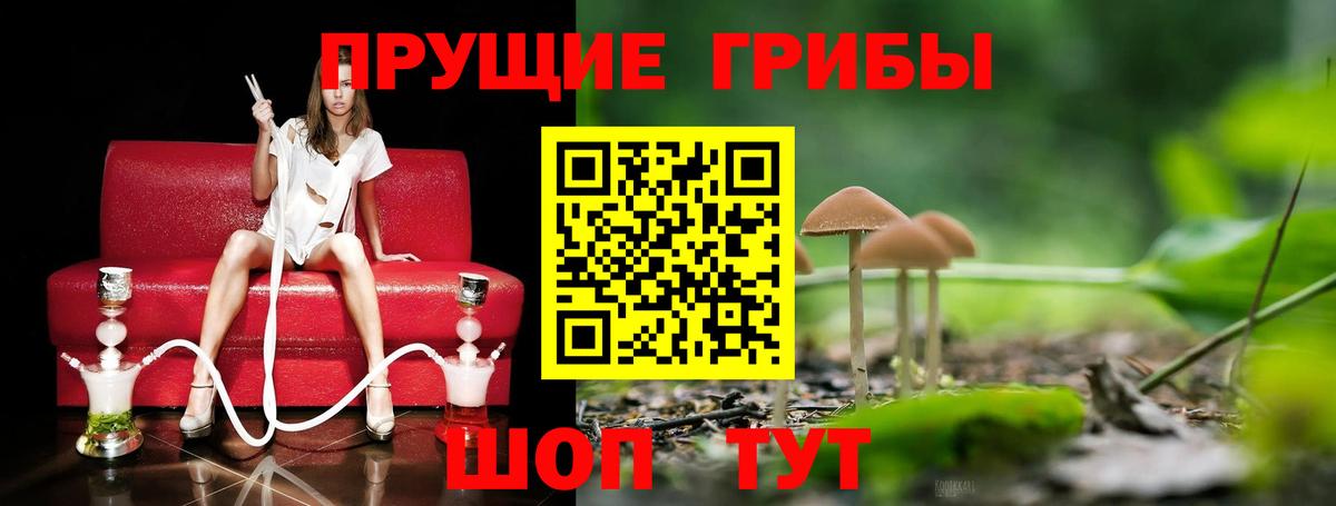 Псилоцибиновые грибы мухоморы  Вход с VPN  Лыткарино 